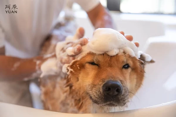 SỮA TẮM THÚ CƯNG THẢO MỘC - Image 2