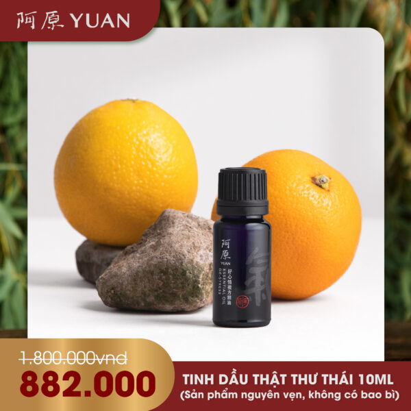 TINH DẦU THẬT THƯ THÁI (KHÔNG BAO BÌ NGOÀI)