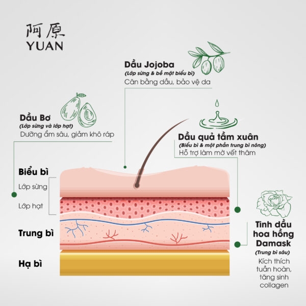 DẦU DƯỠNG DA MẶT HOA HỒNG (KHÔNG BAO BÌ NGOÀI) - Ảnh 5