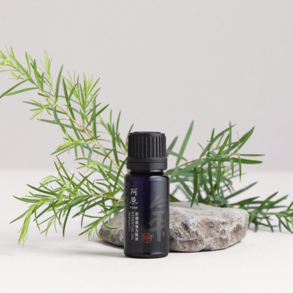 TINH DẦU THẬT KHỎE MẠNH (KHÔNG BAO BÌ NGOÀI)