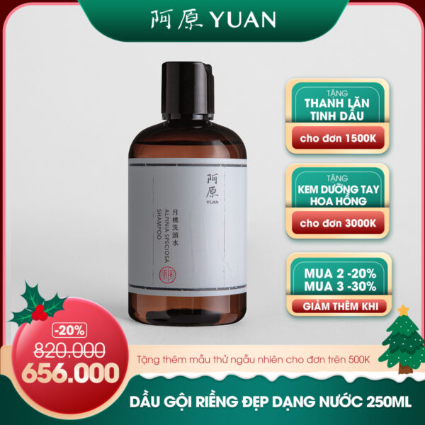 [YEAR END SALE] DẦU GỘI RIỀNG ĐẸP DẠNG NƯỚC