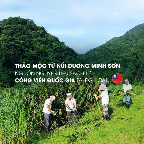 [MUA 2 GIẢM THÊM 30%] DẦU GỘI DẠNG NƯỚC 500ML - Ảnh 3