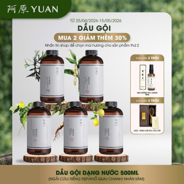 [MUA 2 GIẢM THÊM 30%] DẦU GỘI DẠNG NƯỚC 500ML