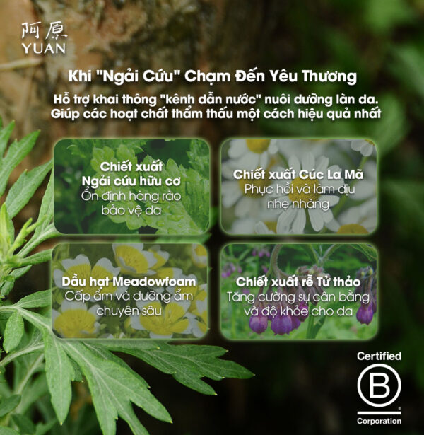 Kem Dưỡng Phục Hồi Ngải Cứu 50g - Ảnh 3