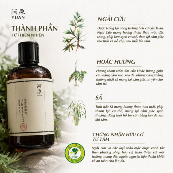 SỮA TẮM NGẢI CỨU DẠNG NƯỚC DÒNG KINH ĐIỂN - Ảnh 3